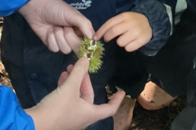 Forest-school-2