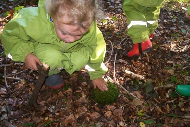 Exploring the woods in Forest School